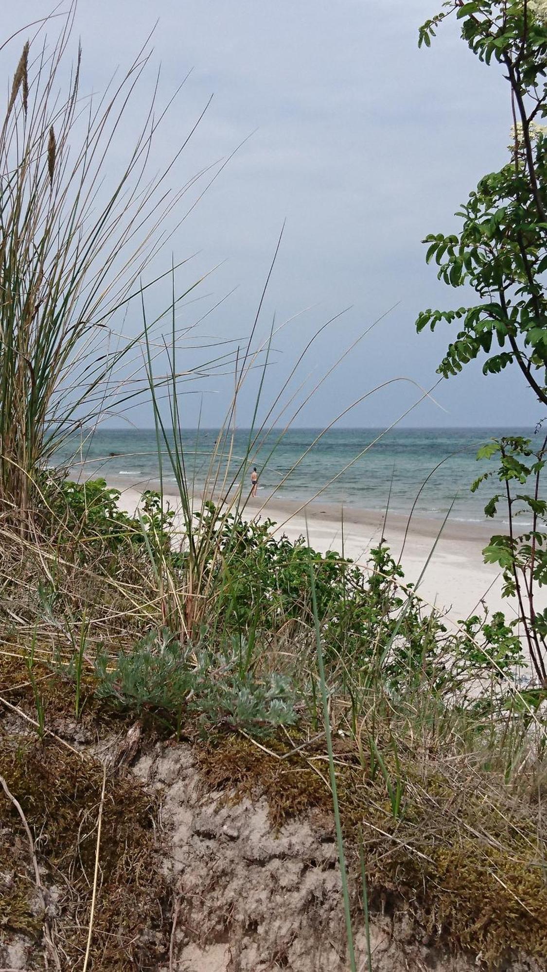 Ahoi Villa Wiek auf Rügen Exteriör bild